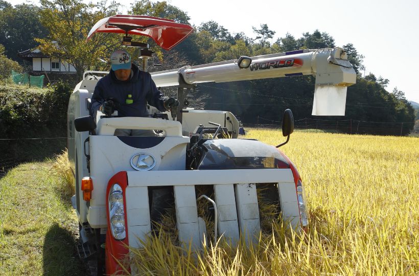 米を重機で収穫しているときの写真