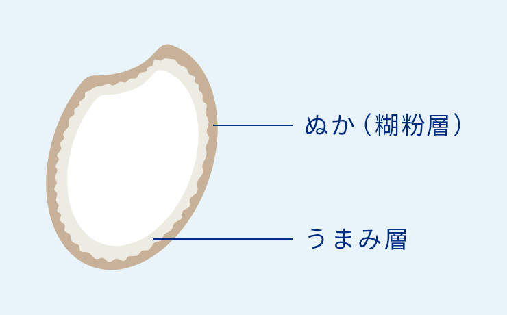 米の構成図